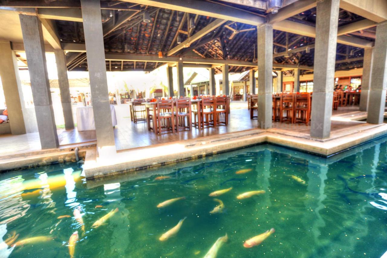 Carolina Beach Resort & Spa Chilaw Dış mekan fotoğraf